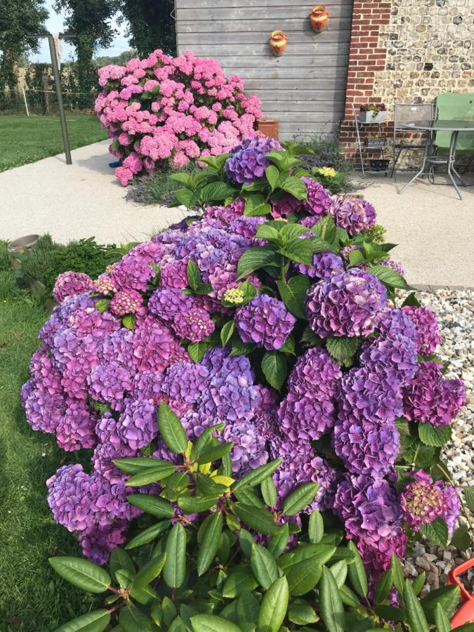 La Grange Aux Hortensias Thiergeville المظهر الخارجي الصورة