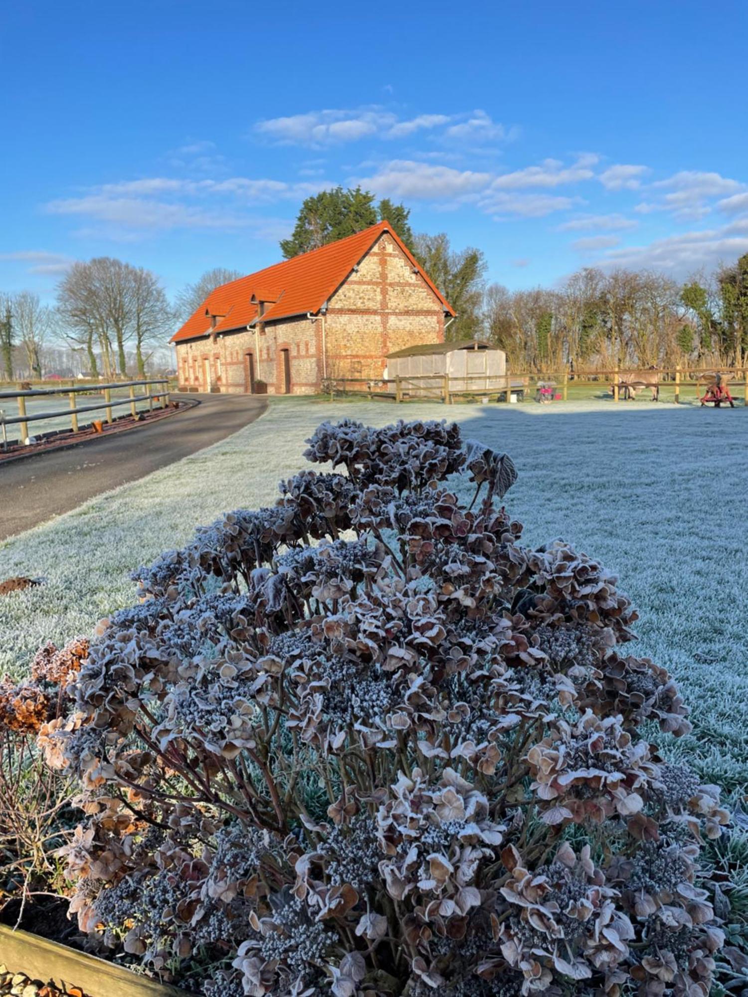 La Grange Aux Hortensias Thiergeville المظهر الخارجي الصورة